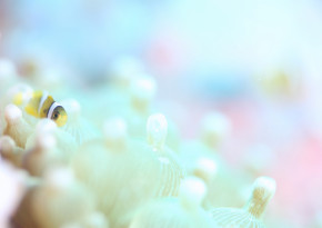 photo by まっきー