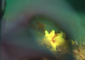 photo by まっきー